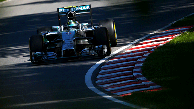 Rosberg ha conquistato la pole nel GP di casa.