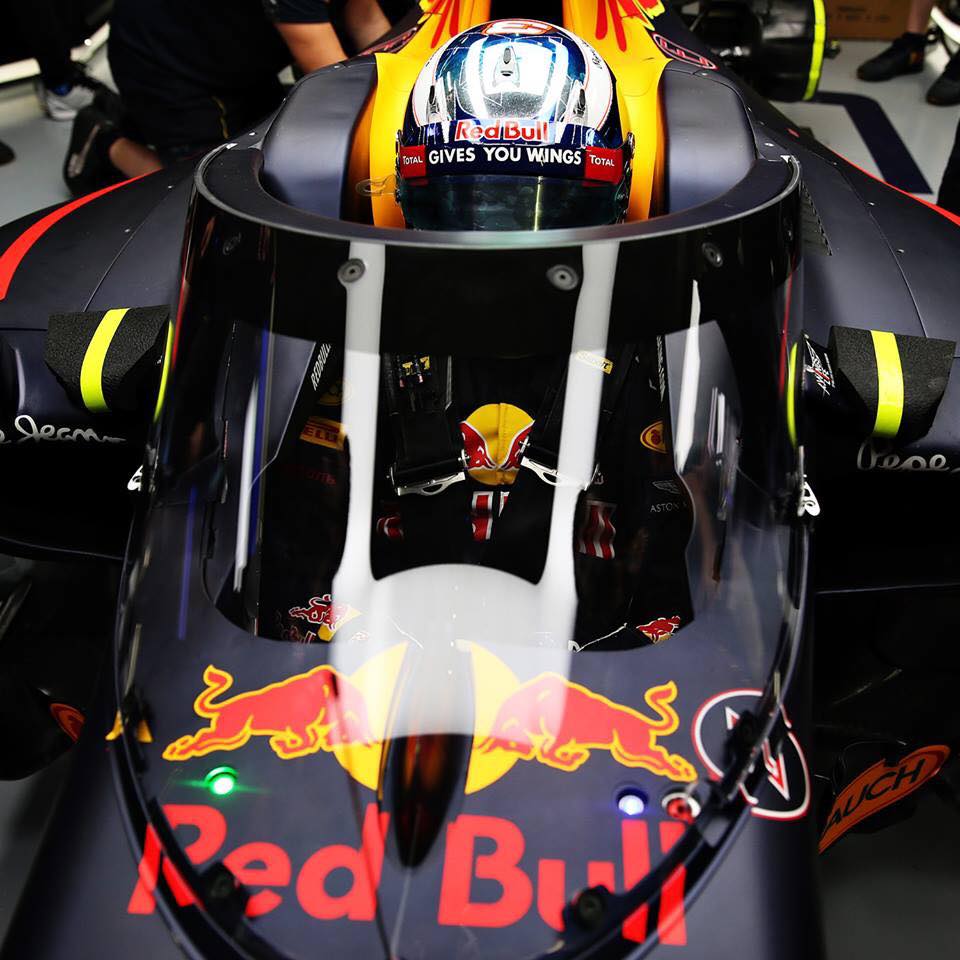 Ricciardo dentro l'abitacolo della RBR12 con il Canopy installato