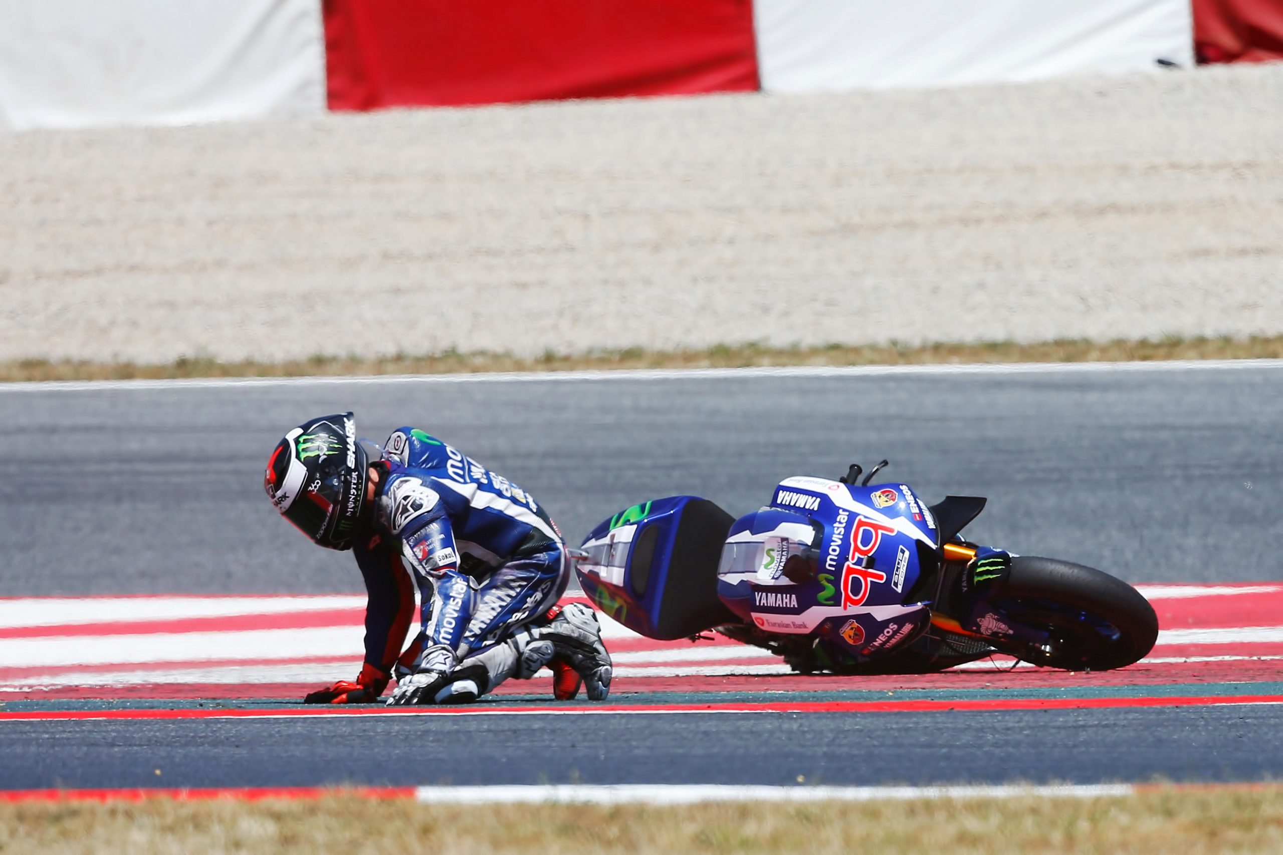 Lorenzo