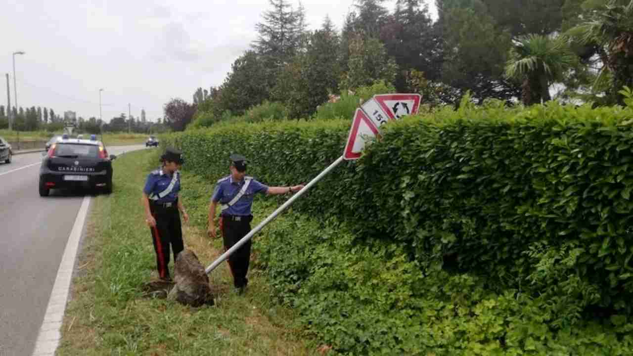 vandali-cartelli-stradali-tuttosuimotori.it