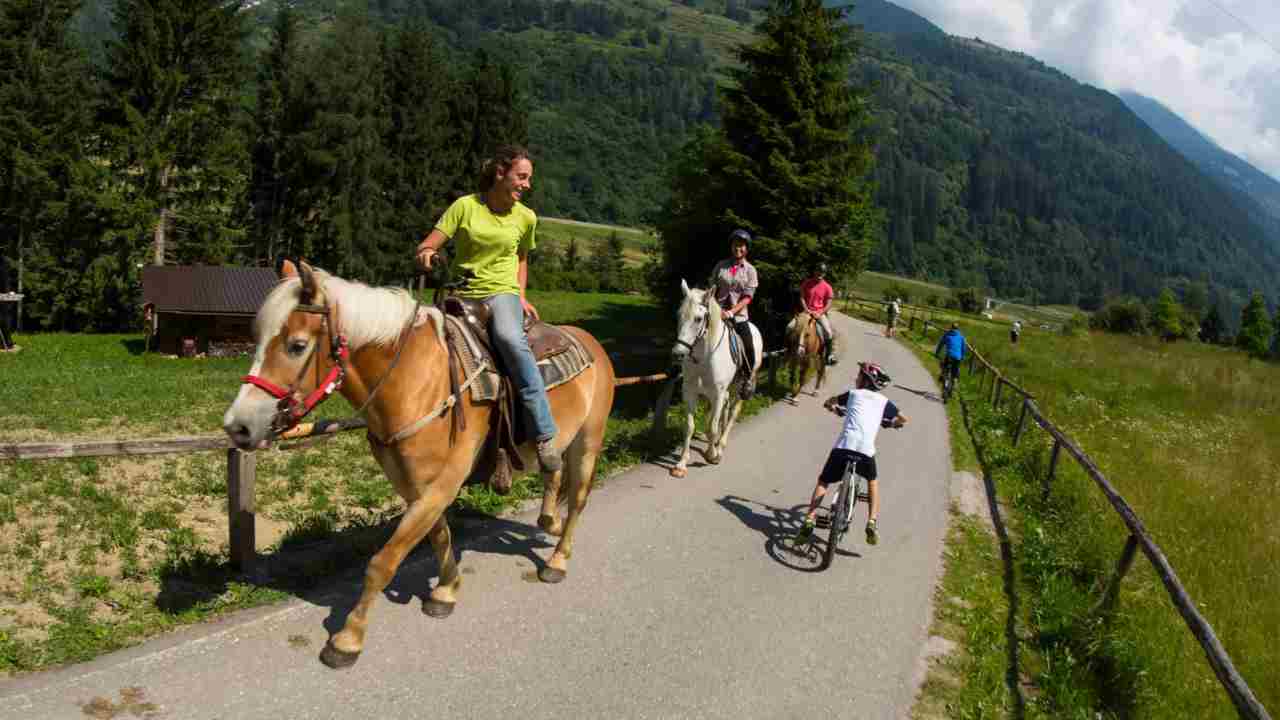 cavallo-in-strada-codice-tuttosuimotori.it