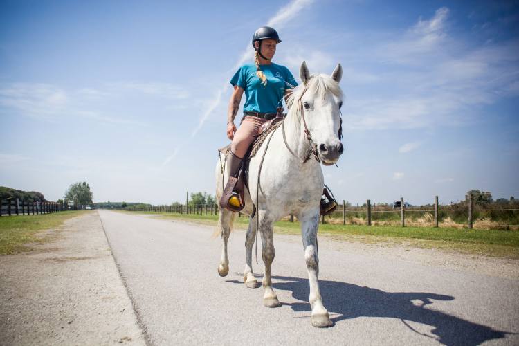 cavallo-su-strada-tuttouimotori.it