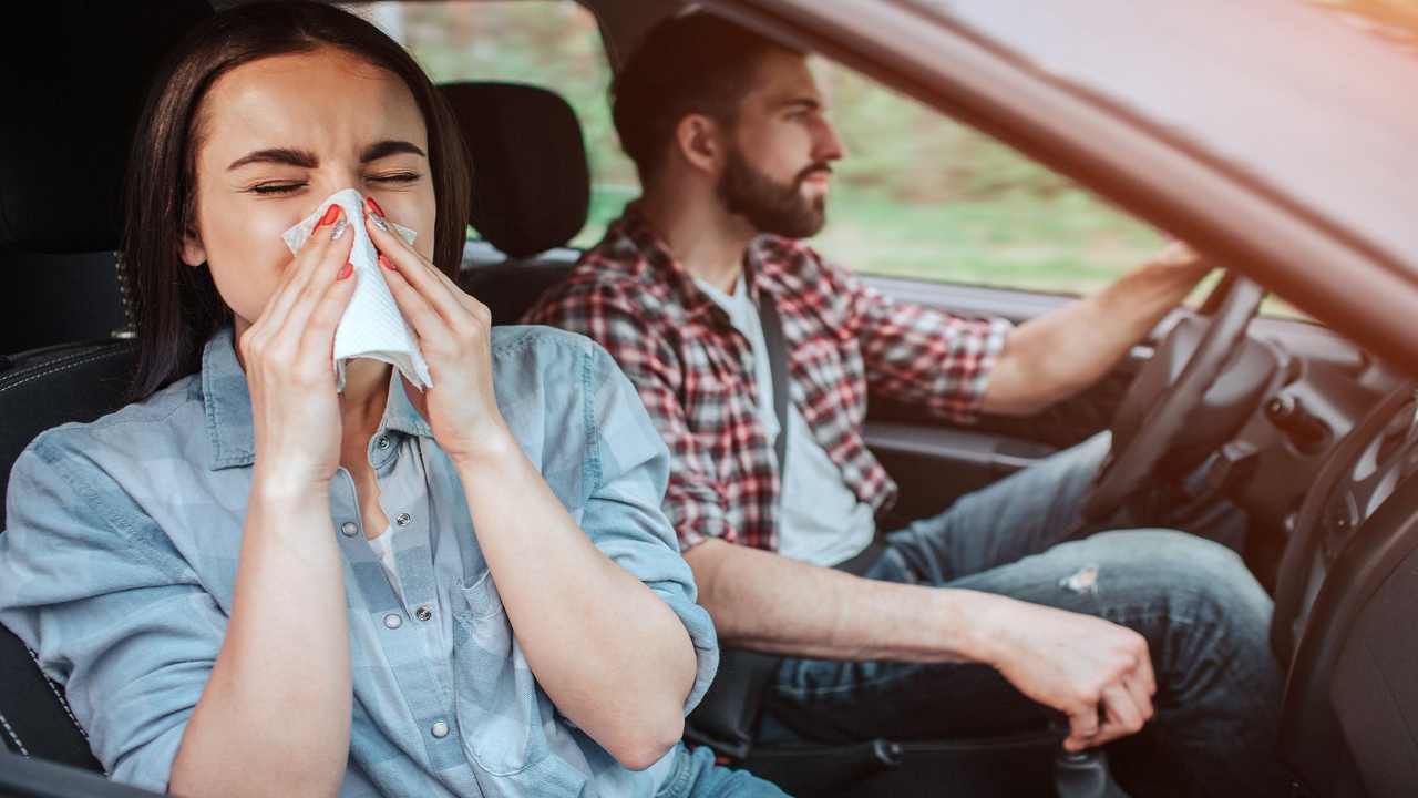 Il polline un problema anche quando si è alla guida