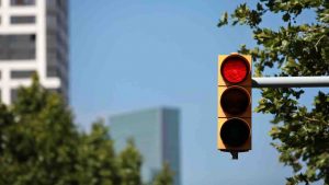 Vista red - tuttosuimotori.it (Corporate+)