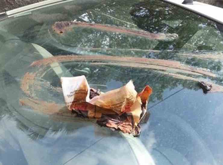 Escrementi sull'auto - tuttosuimotori.it