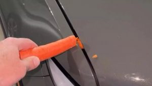 testa carota - reddit - tuttosuimotori.it