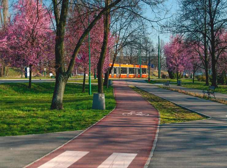 Pista ciclabile 